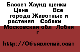 Бассет Хаунд щенки › Цена ­ 20 000 - Все города Животные и растения » Собаки   . Московская обл.,Лобня г.